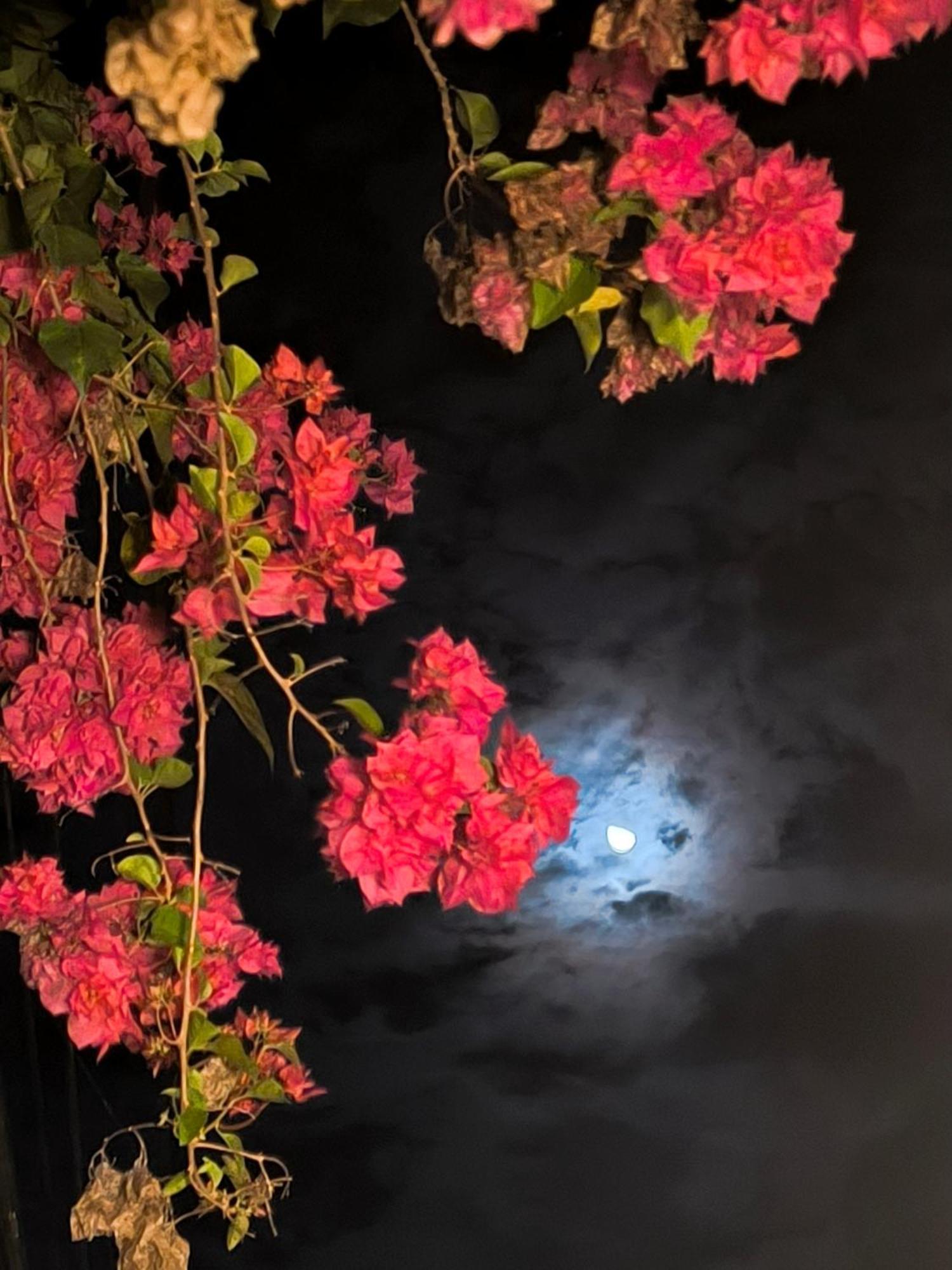 Bandipur Chhen Bed and Breakfast Buitenkant foto